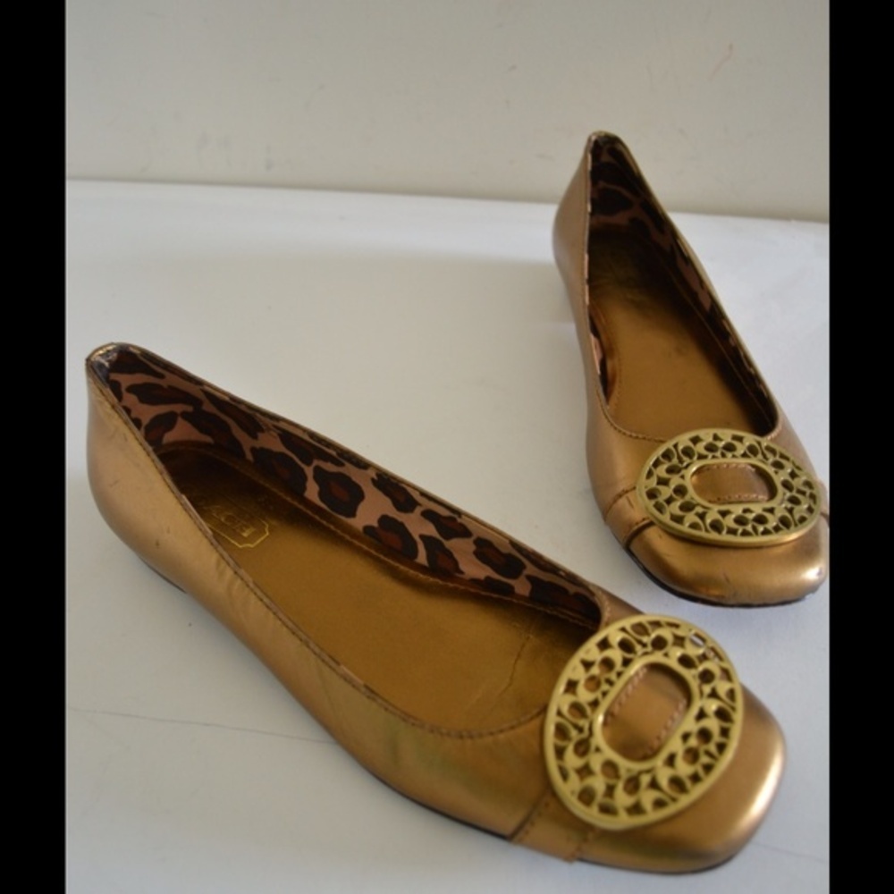 Beautiful coach  flats